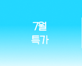 6월 특가