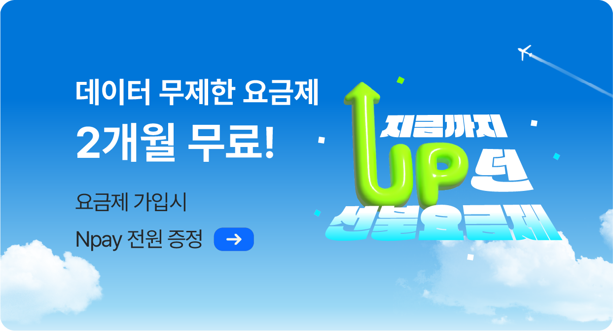 선불 네이버페이 증정